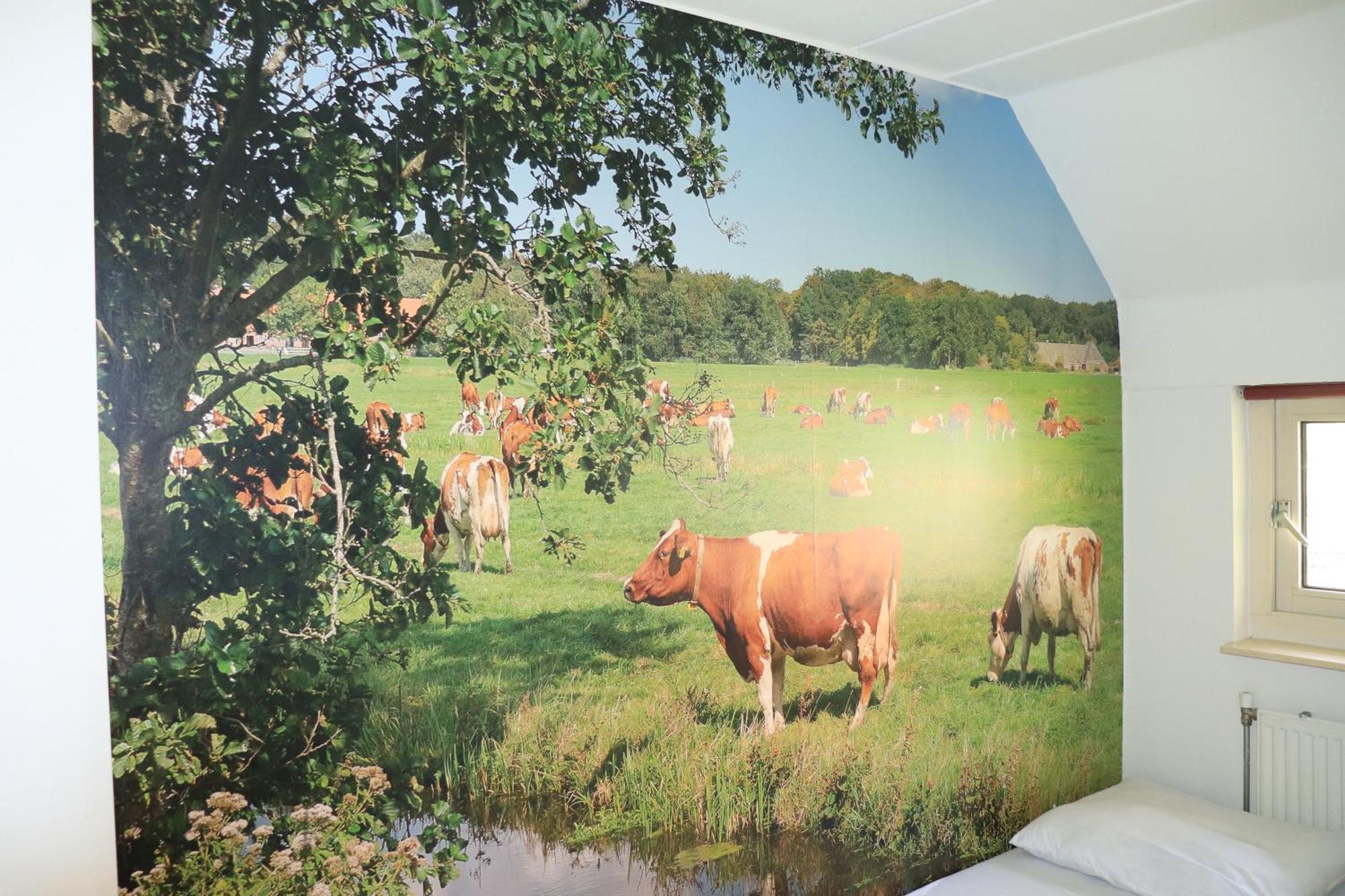 Vakantiehuis De Witte Bergen IJhorst Dış mekan fotoğraf